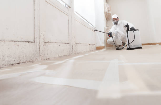 24/7 Emergency Mold Remediation experts in Holbrook, AZ
